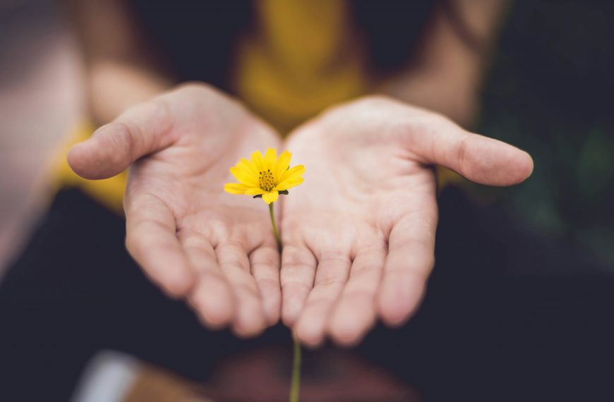 Hands with open palms and a yellow flower held between them