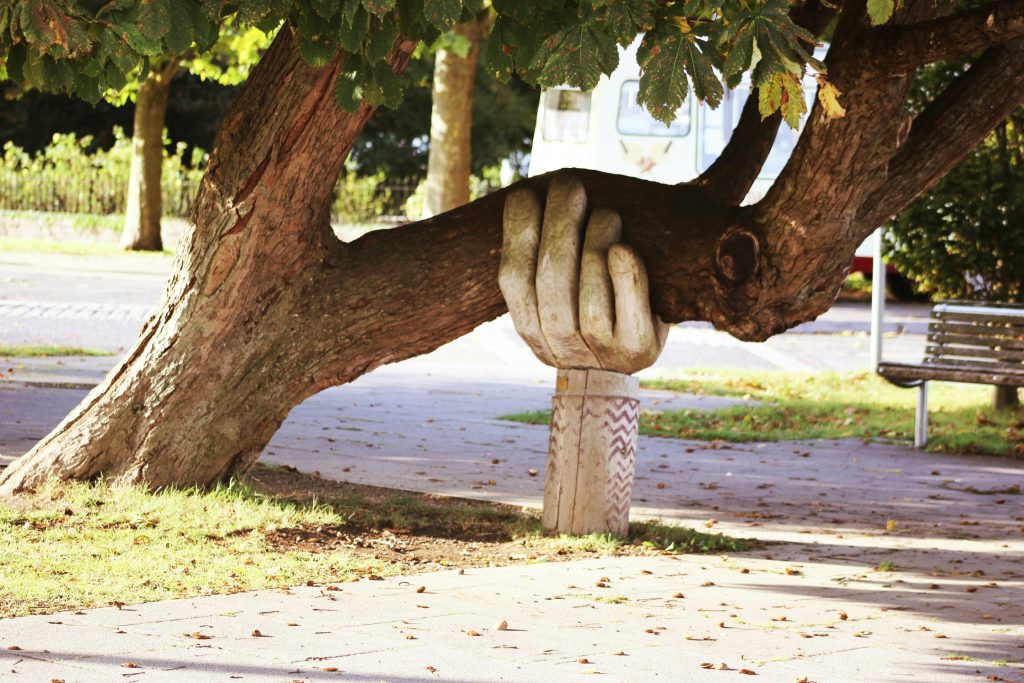 hand sculpture holding up a tree branch