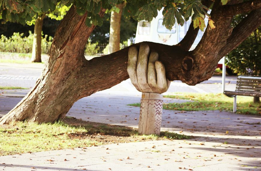 hand sculpture holding up a tree branch